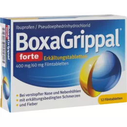 BOXAGRIPPAL forte cold stick. 400 mg/60 mg ΣΕΣ, 12 τμχ