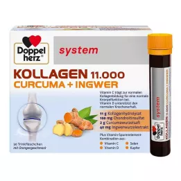 DOPPELHERZ Κολλαγόνο 11.000 Curcuma+Ingw.system TRA, 30X25 ml