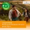 Desloratadine HEUMANN 5 mg επικαλυμμένα με λεπτό υμένιο δισκία, 10 τεμ