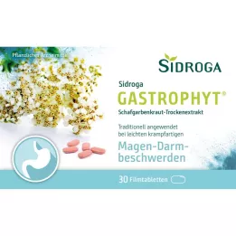 SIDROGA GastroPhyt 250 mg επικαλυμμένα με λεπτό υμένιο δισκία, 30 τεμάχια