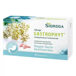 SIDROGA GastroPhyt 250 mg επικαλυμμένα με λεπτό υμένιο δισκία, 30 τεμάχια
