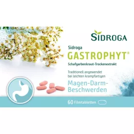 SIDROGA GastroPhyt 250 mg επικαλυμμένα με λεπτό υμένιο δισκία, 60 τεμάχια