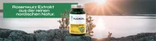 Instructions for use for Κάψουλες Fjordil Rhodiola Rosea (90 τεμάχια) - 1
