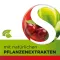 Dobensana Herbal Kirschgeschm.vit.c &amp; Zinc Pastil.(16 τεμάχια)