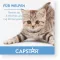 CAPSTAR δισκία 11,4 mg για γάτες/μικρούς σκύλους, 1 τεμάχιο
