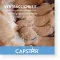 CAPSTAR 57 mg δισκία για μεγάλους σκύλους, 1 τεμάχιο