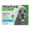 FRONTLINE COMBO κατά των κροτώνων, ψύλλων σε σκύλους M (10-20 kg), 3 τεμ