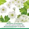 cratae-Loges 450 mg επικαλυμμένα με λεπτό υμένιο δισκία Hawthorn, 100 τεμ