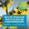 FAKTU Υπόθετα Lind hemorrhoid με αμαμελίδα, 10 τεμ