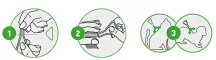 Instructions for use for FRONTLINE COMBO SPOT ON Γάτα, 6 τεμ - 5