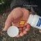 Pure Encapsulations Chondro ενεργές κάψουλες, 60 τεμ