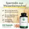 Green Naturals Spermidine 1,6 mg vegan κάψουλες, 240 τεμ