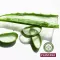 Μπανιέρα ντους Plantana Aloe Vera Care με βιολογική αλόη βέρα, 500 ml