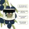 Κρέμα σώματος Plantana Olive με βιταμίνη Ε, 500 ml